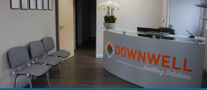 Downwell Group Reception